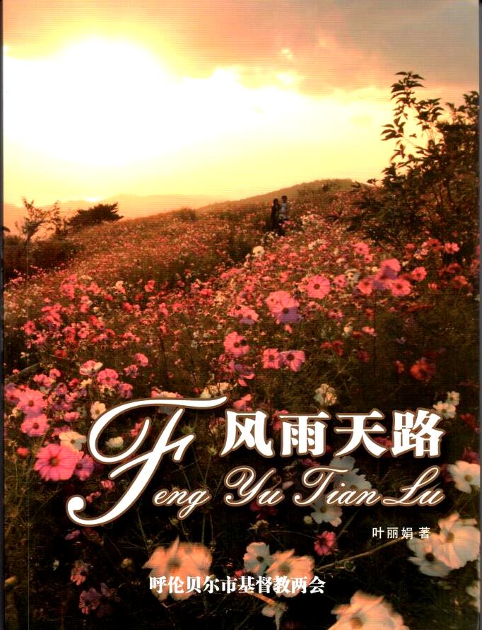 Cover of 風雨天路