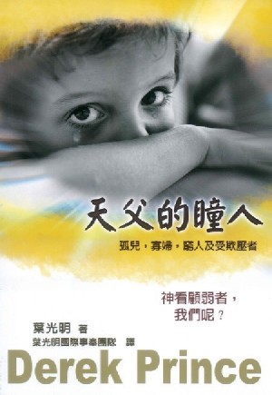 Cover of 天父的瞳人