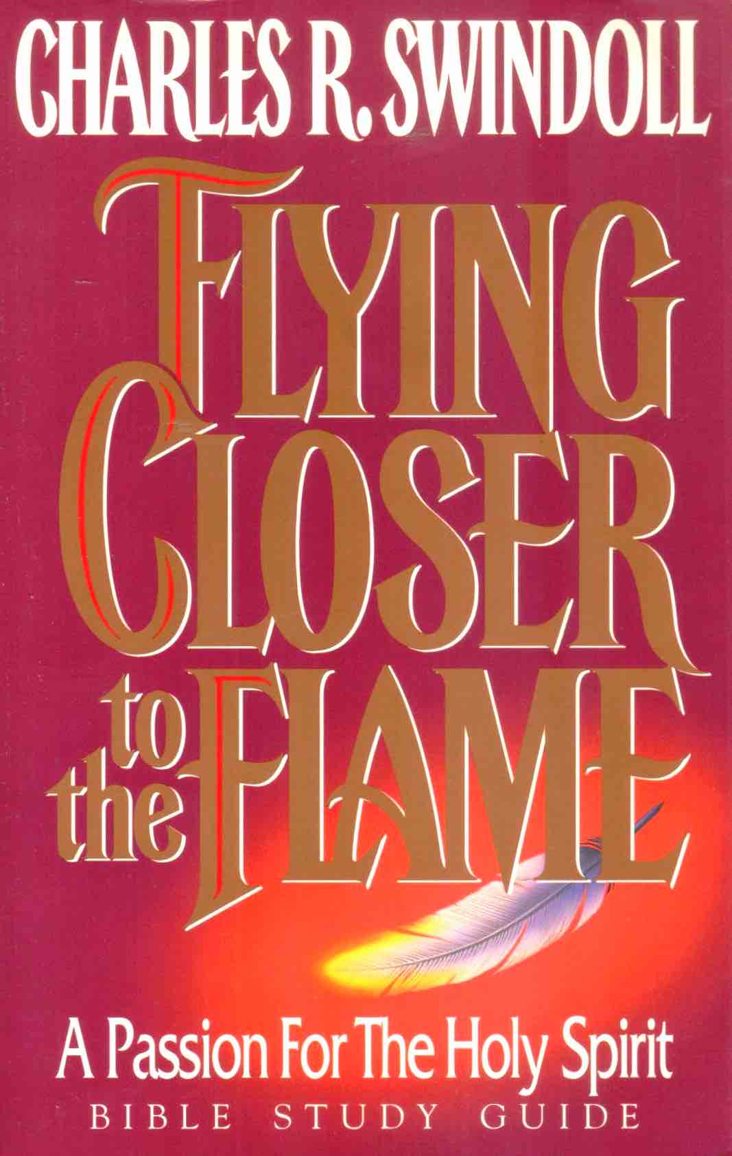 Cover of Flying Closer to the Flame