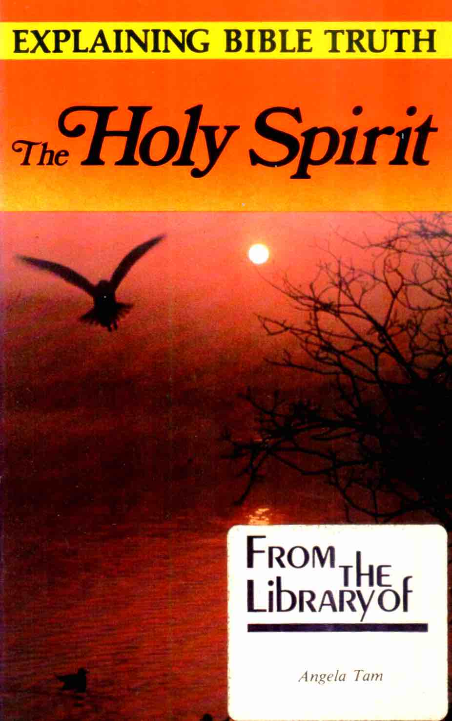 Cover of The Holy Spirit