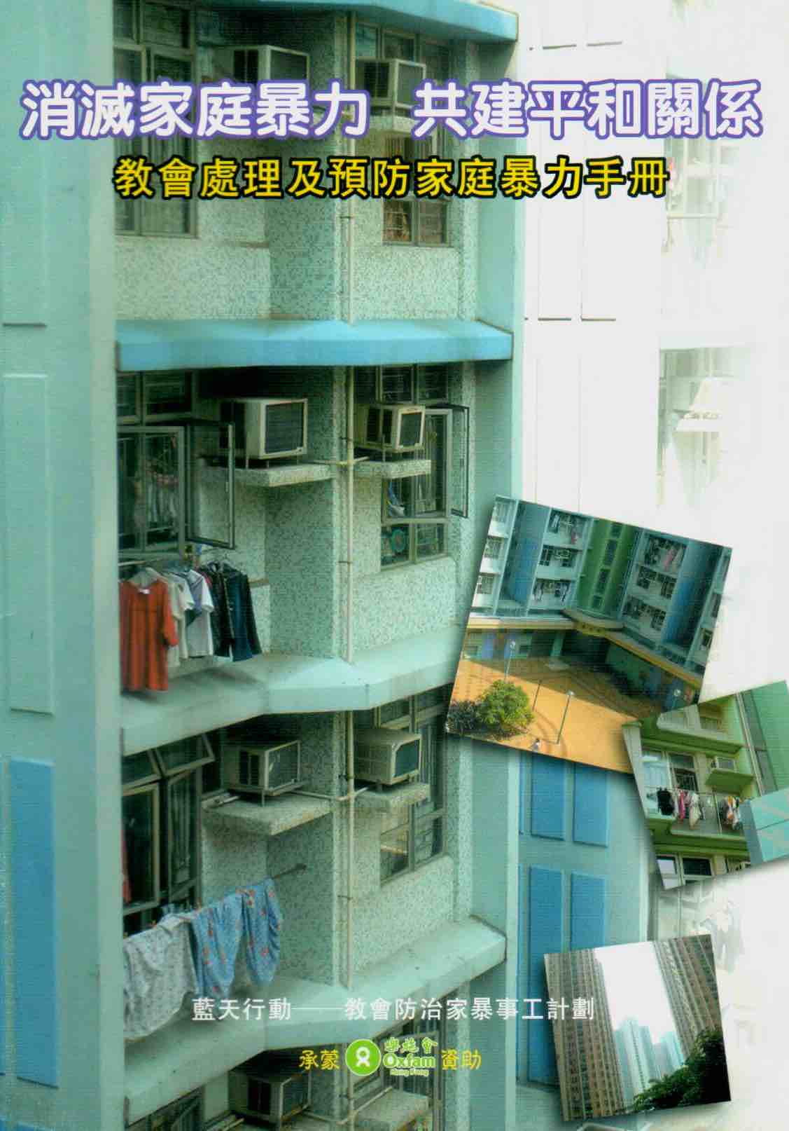 Cover of 消滅家庭暴力  共建平和關係