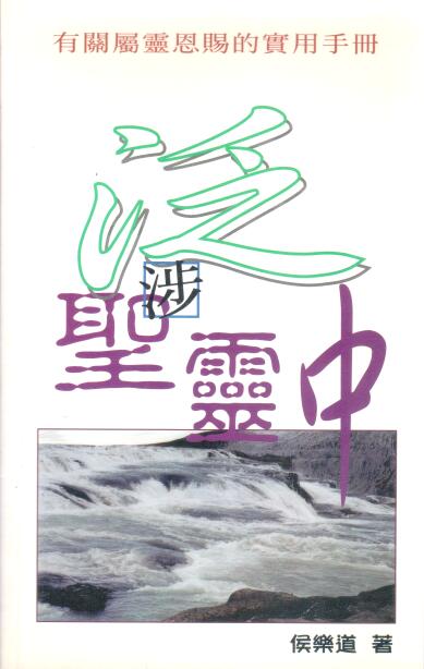 Cover of 泛涉聖靈中